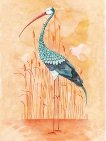 quadro-an-exotic-stork
