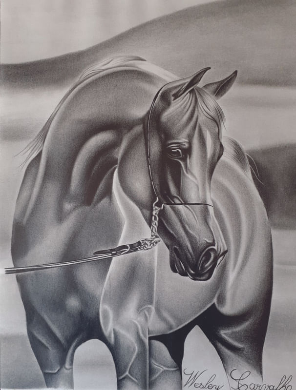 Cavalo Desenho em PRINTS - Natureza Wesley Carcalho Canaleta Branca –  urbanarts
