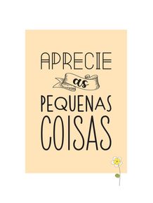 APRECIE-AS-PEQUENAS-COISAS