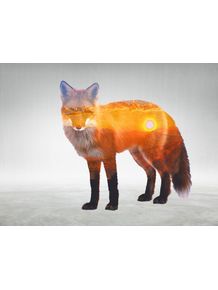 FOX-AND-SUN