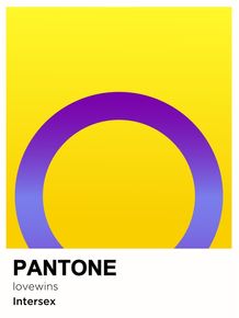 PRIDE-INTERSEX-PANTONE