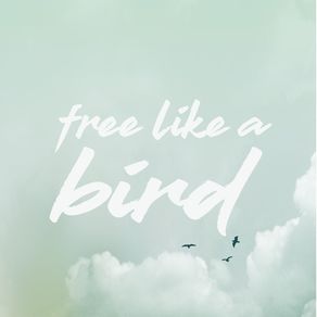 FREE LIKE A BIRD