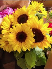 BOUQUET-OF-SUNFLOWERS