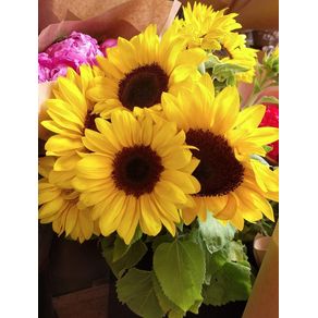 BOUQUET-OF-SUNFLOWERS