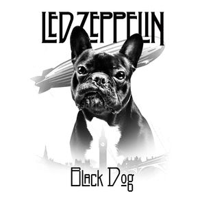 BLACK DOG LED ZEPPELIN