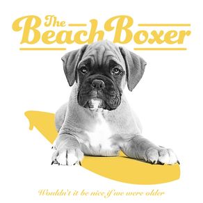 THE BEACH BOXER
