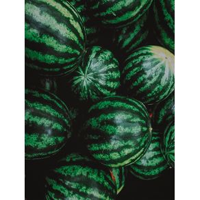 REPEATED WATERMELONS 02