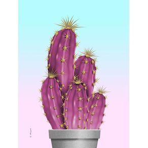 CACTUS - PINK AND BLUE