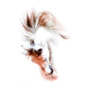 HORSE WHITE