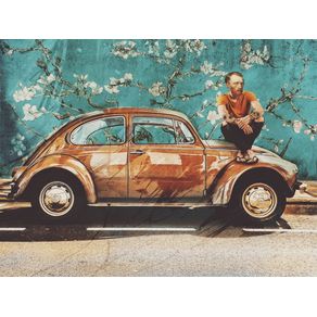 VINCENT AND HIS BEETLE