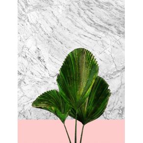 FAN PALM LEAVES ON WHITE MARBLE AND PINK WALL