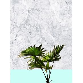 FAN PALM LEAVES ON WHITE MARBLE AND TEAL