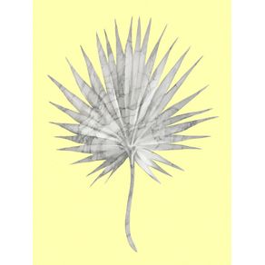 WHITE MARBLE FAN PALM LEAVES ON YELLOW