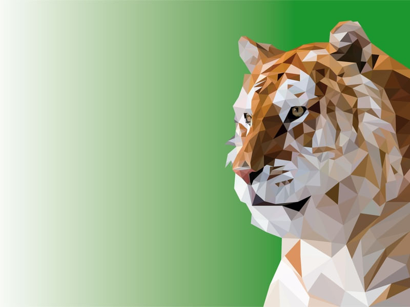 Tigre em PRINTS - Animais - Animais 2 120 X 90 CM – urbanarts