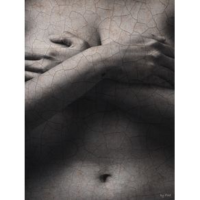 BODY AND TEXTURES IV