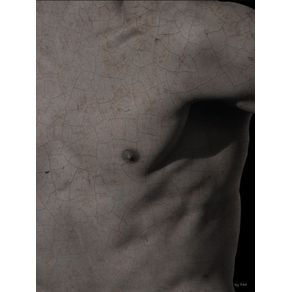 BODY AND TEXTURES II