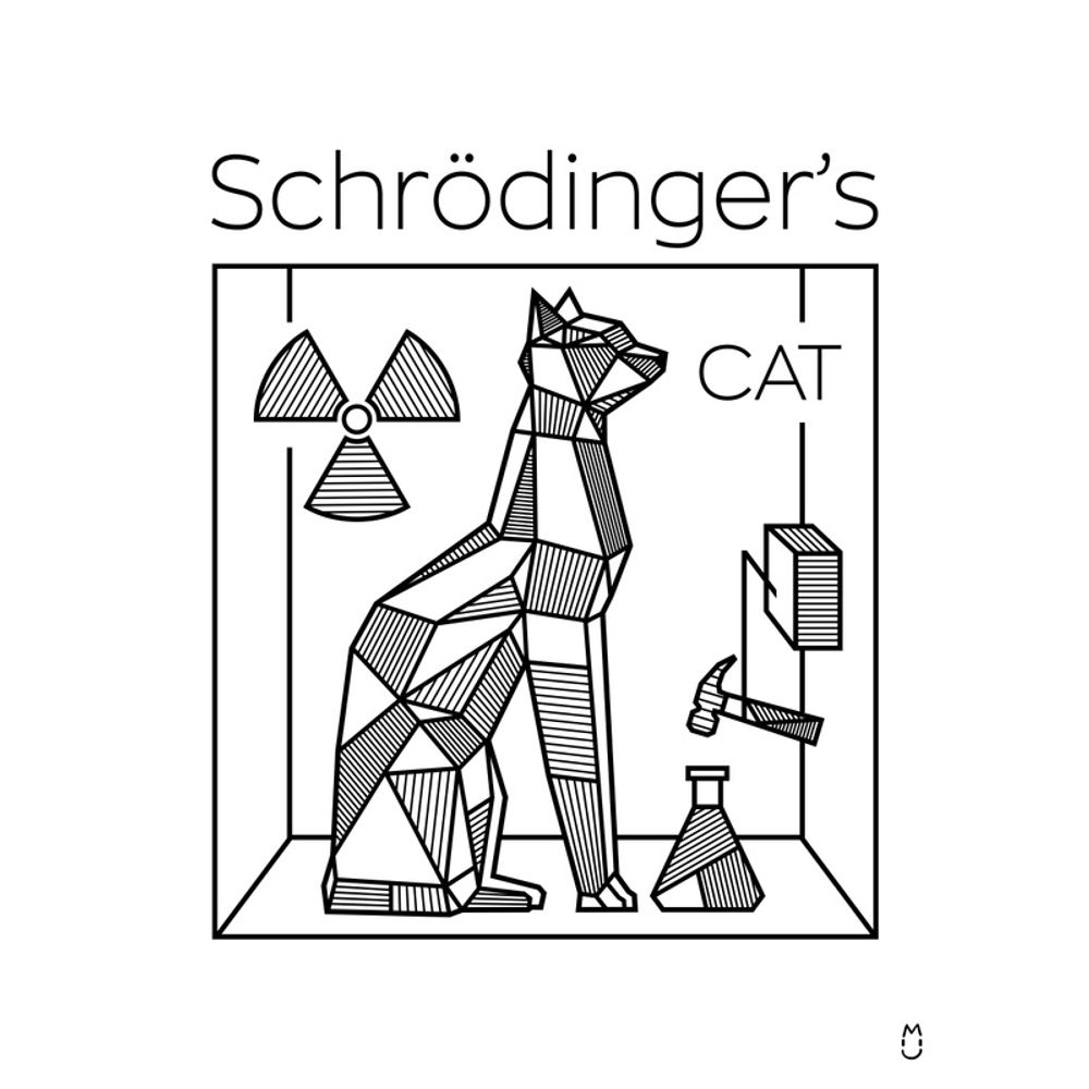 O que é o Gato de Schrödinger?