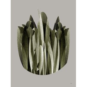 ABSTRACT PLANT 1914