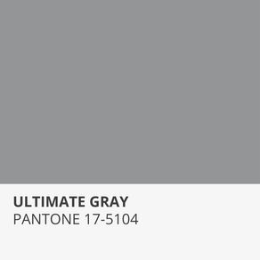 PANTONE ULTIMATE GRAY