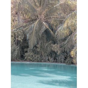 POOL AND COCONUT TREE