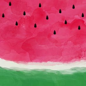 WATERMELON ABSTRACT