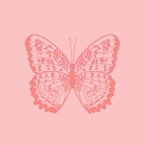 PINK BUTTERFLY