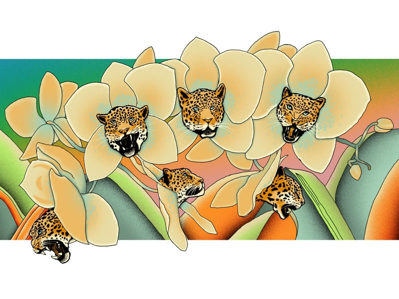 Tigre em PRINTS - Animais - Animais 2 120 X 90 CM – urbanarts