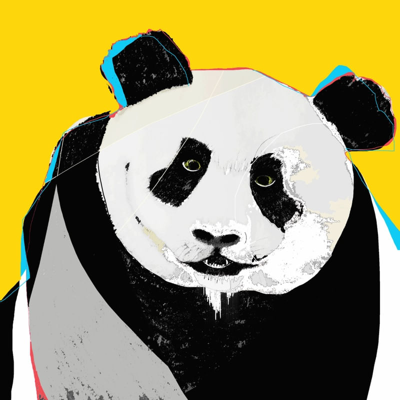 Panda Desenho – urbanarts