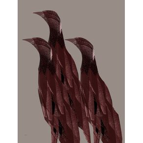 ABSTRACT - BIRDS 1948