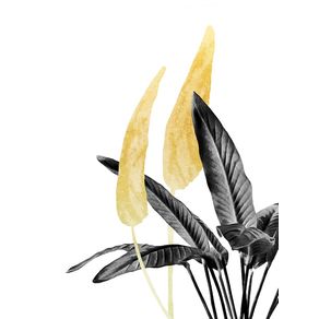 BIRD OF PARADISE PLANT BLACK, WHITE AND GOLD 01