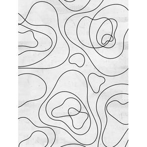 REDRAWING BURLE MARX ON WHITE X