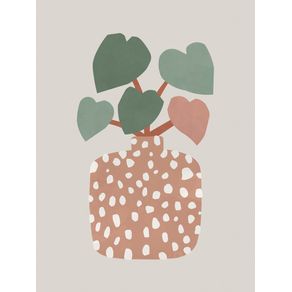 TERRAZZO & HEART PLANT