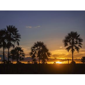 POR DO SOL CARNAÚBAS DAS PLANÍCIES