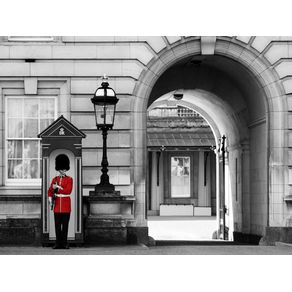 THE QUEEN'S GUARD